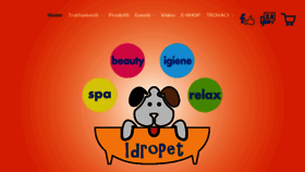 What Idropet.it website looked like in 2018 (5 years ago)