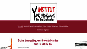 What Institutenergetiquechinois.com website looked like in 2018 (5 years ago)