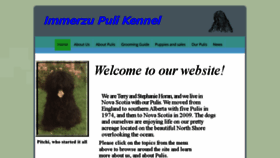 What Immerzupuli.com website looked like in 2018 (5 years ago)