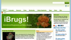What Ibrugs.com website looked like in 2018 (5 years ago)