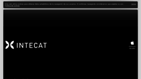 What Intecat.com website looked like in 2018 (5 years ago)