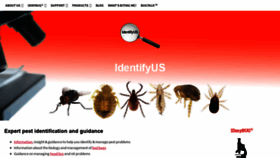 What Identifyus.com website looked like in 2018 (5 years ago)