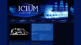 What Icium.fi website looked like in 2018 (5 years ago)