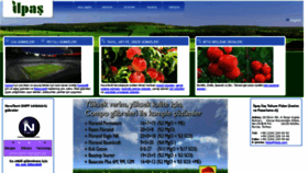 What Ilpas.com website looked like in 2018 (5 years ago)