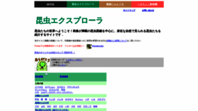 What Insects.jp website looked like in 2019 (5 years ago)
