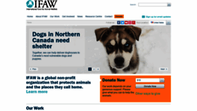 What Ifaw.org website looked like in 2019 (5 years ago)