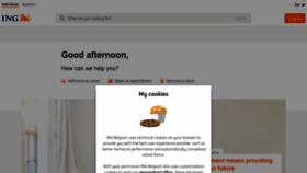What Ing.be website looked like in 2019 (5 years ago)