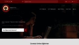 What Iienstitu.com website looked like in 2019 (5 years ago)