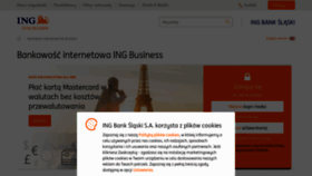 What Ingbusinessonline.pl website looked like in 2019 (4 years ago)