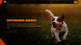 What Interzoo-adam.pl website looked like in 2019 (4 years ago)
