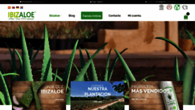 What Ibizaloe.com website looked like in 2019 (6 years ago)
