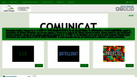 What Insmontgros.cat website looked like in 2019 (4 years ago)