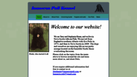 What Immerzupuli.com website looked like in 2019 (4 years ago)