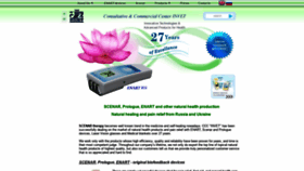 What Invet.net website looked like in 2019 (5 years ago)