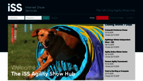 What Ishowservices.com website looked like in 2019 (4 years ago)