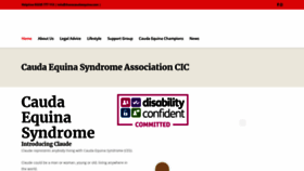 What Ihavecaudaequina.com website looked like in 2019 (4 years ago)