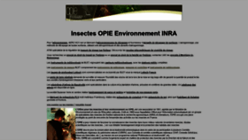What Insectes.org website looked like in 2019 (4 years ago)