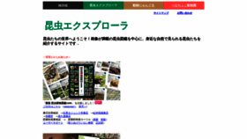 What Insects.jp website looked like in 2020 (4 years ago)