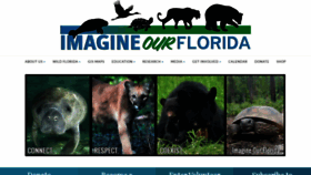 What Imagineourflorida.com website looked like in 2020 (4 years ago)