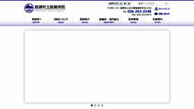 What Iizuna-hp.jp website looked like in 2020 (4 years ago)