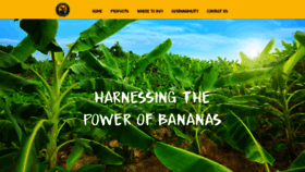 What Ipanemavalley.com website looked like in 2020 (4 years ago)