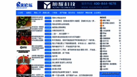 What Isso.com.cn website looked like in 2020 (4 years ago)