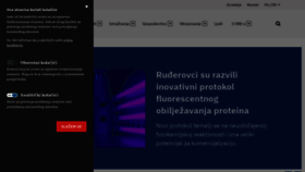 What Irb.hr website looked like in 2020 (6 years ago)