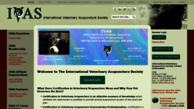 What Ivas.org website looked like in 2020 (4 years ago)