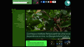 What Institutoterra.org website looked like in 2020 (4 years ago)