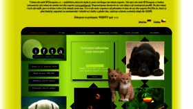 What Iftaregistr.cz website looked like in 2020 (4 years ago)