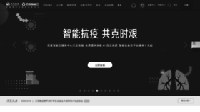 What Idcs.cn website looked like in 2020 (4 years ago)