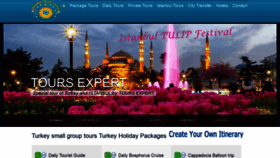 What Istanbultoursexpert.com website looked like in 2020 (4 years ago)