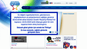 What Istanbulcevahir.com website looked like in 2020 (4 years ago)