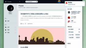What Itseeds.cn website looked like in 2020 (4 years ago)