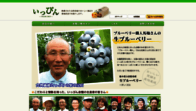 What I-ppin.jp website looked like in 2020 (3 years ago)