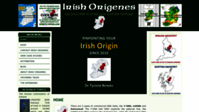 What Irishorigenes.com website looked like in 2020 (3 years ago)