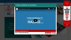 What Istanbulsaglik.gov.tr website looked like in 2020 (3 years ago)