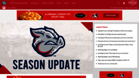 What Ironpigsbaseball.com website looked like in 2020 (3 years ago)