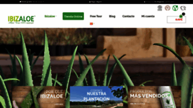 What Ibizaloe.com website looked like in 2020 (5 years ago)