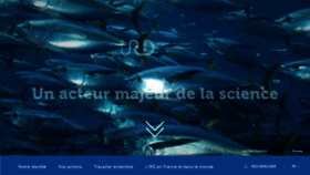 What Ird.fr website looked like in 2020 (3 years ago)