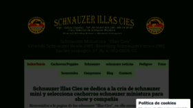 What Illascies.com website looked like in 2020 (3 years ago)