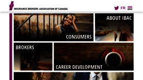 What Ibac.ca website looked like in 2020 (3 years ago)