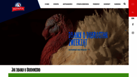 What Indykpol.pl website looked like in 2020 (6 years ago)