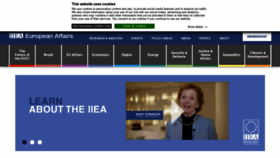 What Iiea.com website looked like in 2020 (3 years ago)