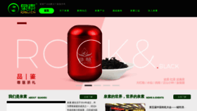 What Iqsu.cn website looked like in 2020 (3 years ago)