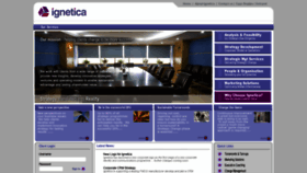 What Ignetica.com website looked like in 2020 (3 years ago)