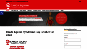 What Ihavecaudaequina.com website looked like in 2020 (3 years ago)