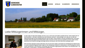 What Ilmmuenster.de website looked like in 2020 (3 years ago)