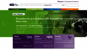 What Intracare.nl website looked like in 2020 (3 years ago)