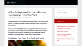 What Imwise.org website looked like in 2021 (5 years ago)